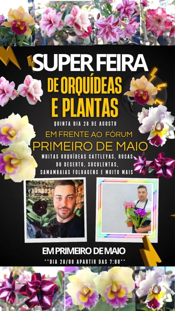 A Beleza das Plantas: O Encontro Imperdível com a Natureza em Primeiro de Maio